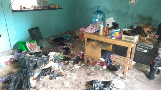 Illustration de l'article : 3 animaux négligés et vivant dans l’insalubrité ont été sauvés grâce à l’appel d’un voisin