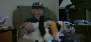 Illustration de l'article : Au moment d’une chute, un homme âgé de 84 ans a pu compter sur le soutien déterminant de son chat (vidéo)