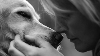 Illustration : "Pour soutenir les familles et leurs animaux en fin de vie, elle offre des séances photos émouvantes"