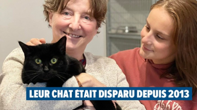 Illustration : "Disparu depuis 8 ans, leur chat vivait à 1 km de chez elles dans la maison d’un homme qu’elles connaissaient"