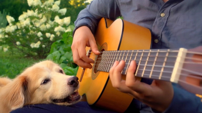 Illustration : "Un musicien partage une vidéo d’adieu bouleversante à sa Golden Retriever"