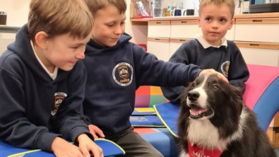 Illustration : "Un chien de thérapie assiste les élèves d’une école primaire dans leur apprentissage de la lecture"