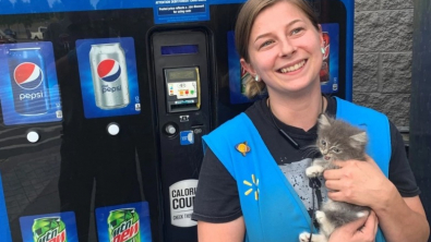 Illustration : "Un chaton un peu trop curieux se retrouve piégé dans le distributeur de sodas d’un magasin"