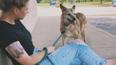 Illustration : "Une femme se mobilise pour adopter un chien de 19 ans, qui devait terminer sa vie dans un refuge"