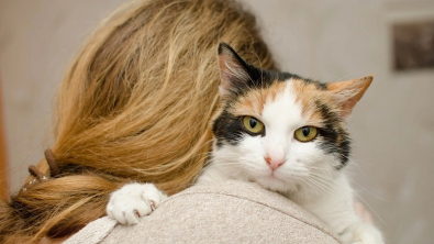 Illustration : "Une femme préfère vivre dans un abri de fortune pendant 3 ans, plutôt que de devoir abandonner son chat "