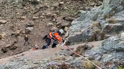 Illustration : Des secouristes effectuent une opération risquée pour tenter de sauver un chien tombé d'une falaise