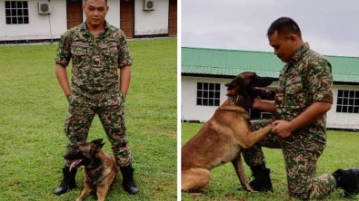 Illustration : "Ce militaire a été la seule personne capable d’apprivoiser Loki, un Berger Belge Malinois jugé agressif"