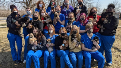 Illustration : "Des étudiants vétérinaires ont permis le sauvetage d’une cinquantaine de chiots, destinés à une fin tragique"