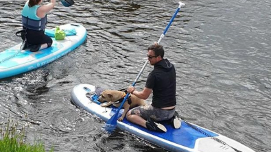 Illustration : "Deux pagayeurs viennent en aide à un chien en détresse tombé dans une rivière"