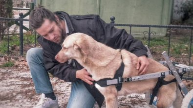 Illustration : "Promis à une belle carrière dans le mannequinat, cet homme a tout plaqué pour s’occuper des animaux errants"