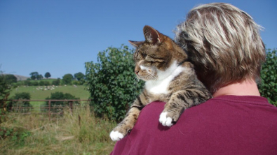 Illustration : En œuvrant pour le bonheur d'une chatte maltraitée et aveugle, ce couple a aussi guéri de sa propre tristesse