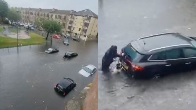 Illustration : "Un chien perspicace aide sa propriétaire à pousser une voiture coincée dans l’eau avec 2 femmes à bord (vidéo)"