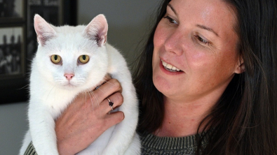 Illustration : "Après un simple examen des yeux, un chat disparu depuis 3 ans retrouve sa famille"