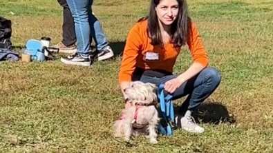 Illustration : "Un petit chien est le seul que personne ne vient rencontrer lors d’un événement d’adoption (vidéo)"