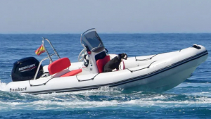 Illustration : "Les sauveteurs interviennent pour secourir un chien coincé en pleine mer sur un bateau hors de contrôle"