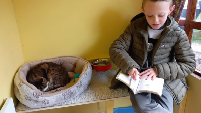 Illustration : "Un établissement encourage les enfants à lire des histoires aux chats âgés pour leur tenir compagnie"