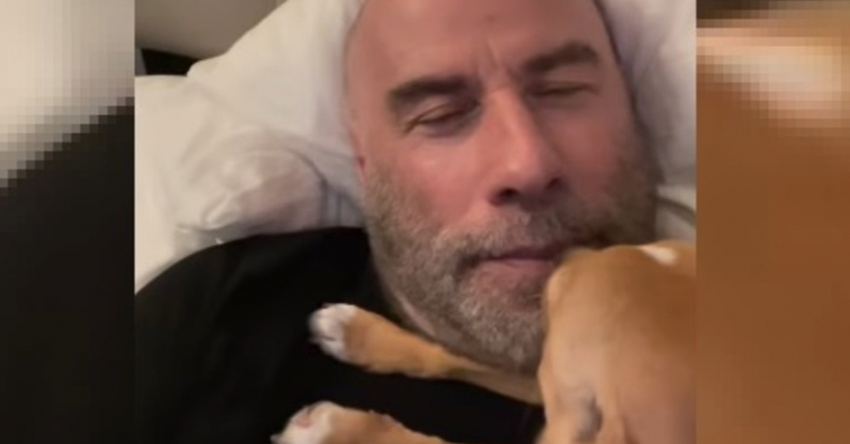 John Travolta’s Adoption of Shelter Dog Peanut: A Heartwarming Story of Love and Advocacy