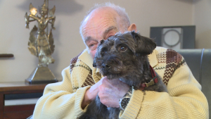 Illustration : "Le chien d’un inconnu reste pendant des heures aux côtés d’un homme de 94 ans incapable de se relever après une chute"