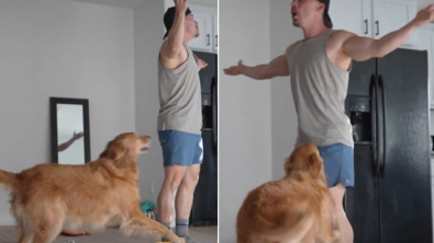 Illustration : Prétendant qu’il ne voit plus sa chienne dans la pièce, cet homme collecte des images hilarantes de sa Golden Retriever (vidéo)