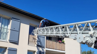 Illustration : La découverte d’un chien et d’un chat laissés seuls dans un appartement suscite la colère de bénévoles de la SPA 