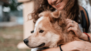 Illustration : "Les erreurs à éviter lors de l'adoption d'un chien"