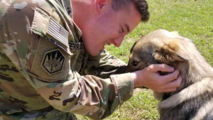 Illustration : "À la fin de sa mission, un militaire pensant faire ses adieux définitifs à un chien devenu compagnon de route découvre la belle attention de ses proches"