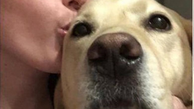 Illustration : Une femme aveugle et son chien-guide se retrouvent dans la bonne humeur après de longs mois de séparation