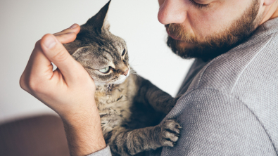 Illustration : "Adopter un chat en refuge"