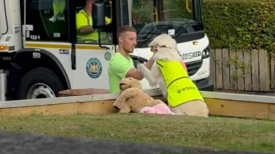 Illustration : "Cette chienne enjouée est devenue la meilleure amie des éboueurs du quartier (vidéo)"